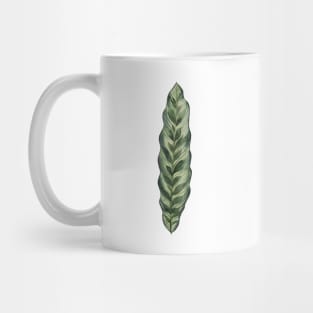 Simple Calathea Leaf Mug